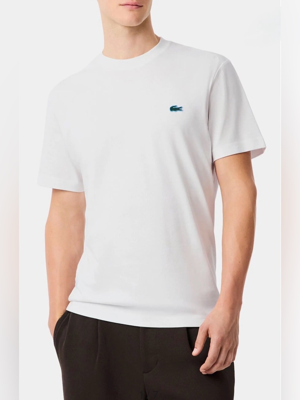 NWOT NEW Lacoste Classic Fit White T Shirt Tee Cotton Landscape Crocodile Logo S